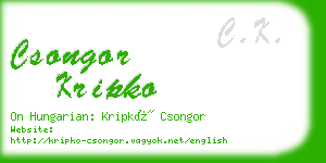 csongor kripko business card